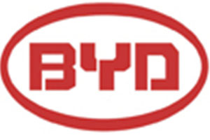BYD opened the door for us